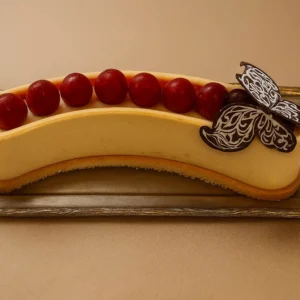 Moonlit Butterfly Cake